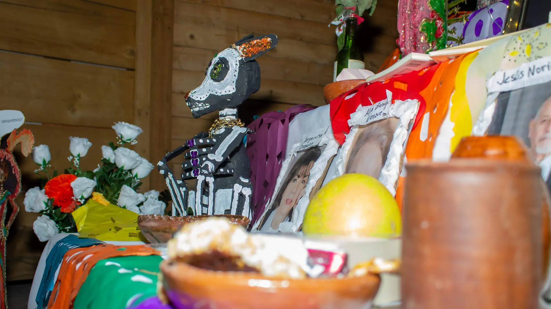 Festival dia de muertos altar - Mike Acosta (3)